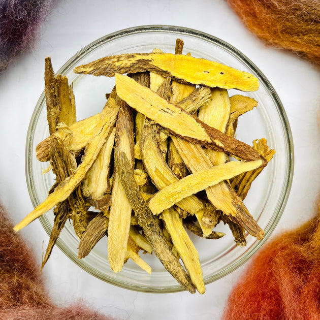 【極美品】Terrell L. Root症例集　Terrell L.Root Teasel Root: Natural Hope Herbals for Joint Support